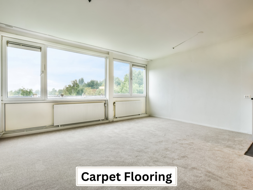 carpet interior services