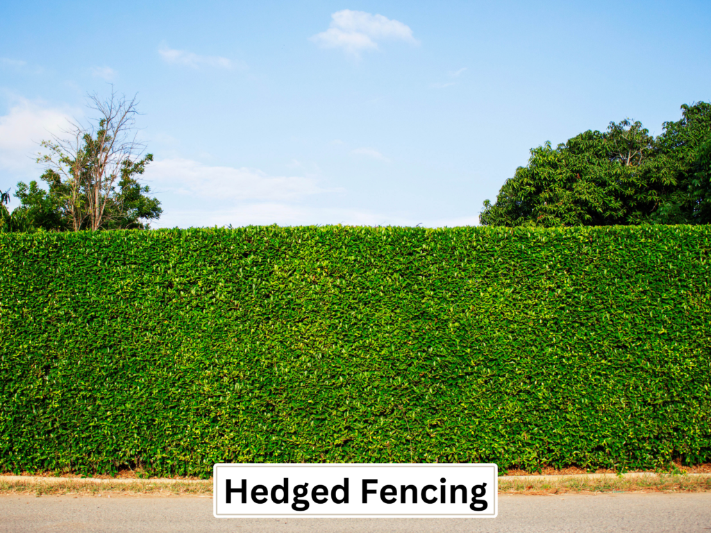 hedged fencing