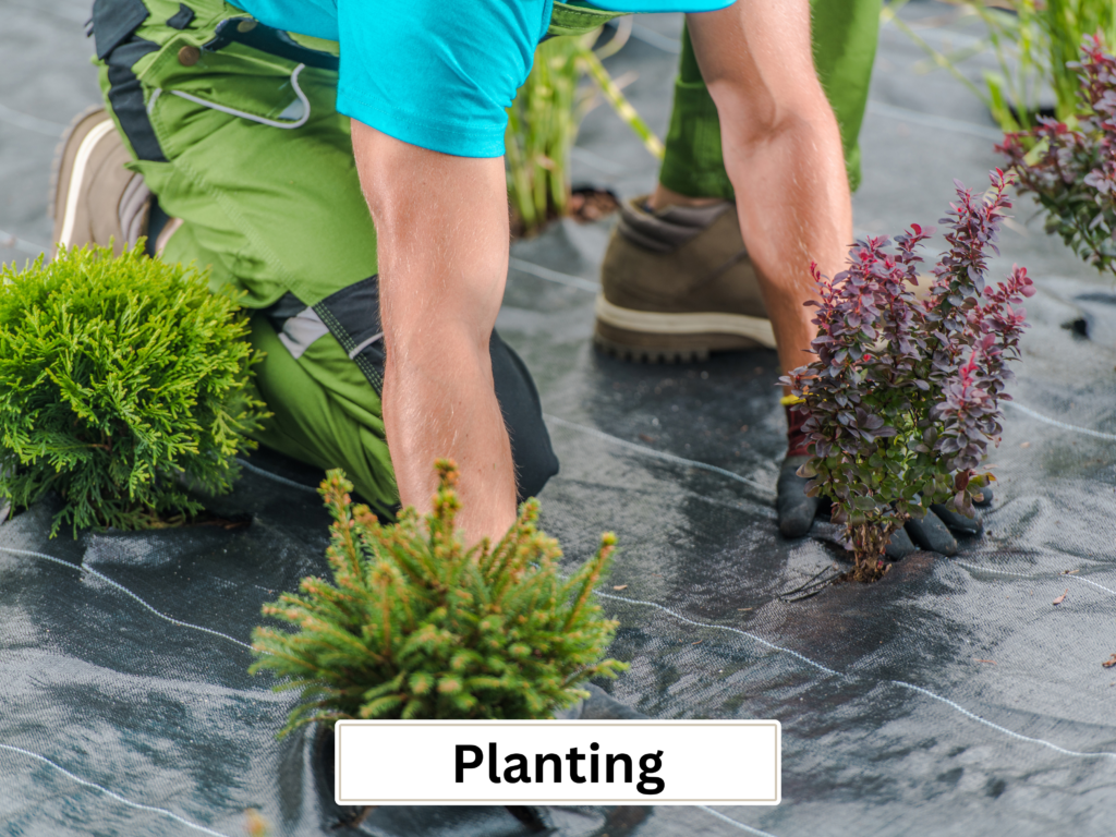 planting exterior services