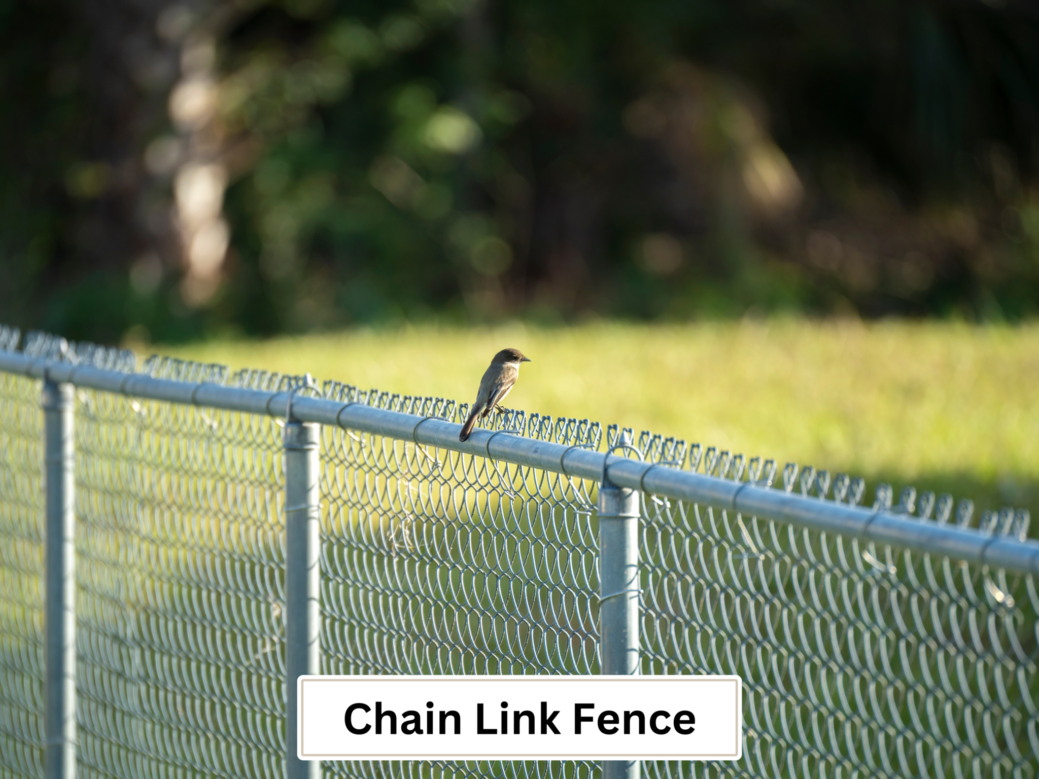 chain link fencing